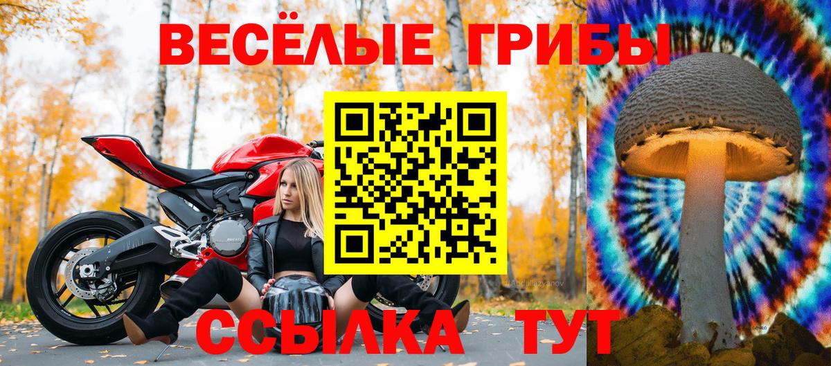 Нефтекумск  Галлюциногенные грибы MAGIC MUSHROOMS  закладки  Галлюциногенные грибы GOLDEN TEACHER  Вход с VPN 